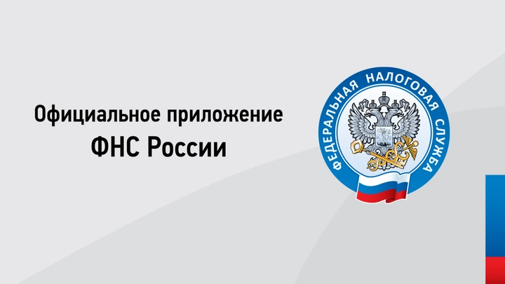 Скриншот приложения Налоги ФЛ