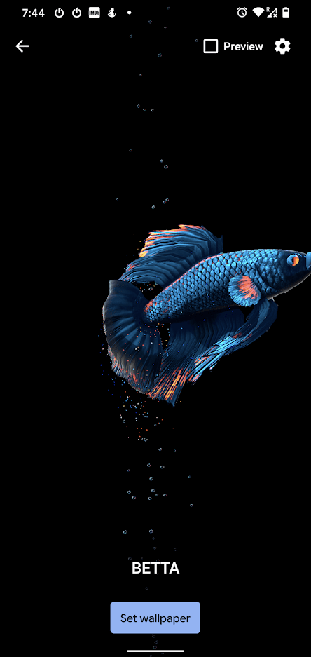 Betta Fish Wallpaper Animation