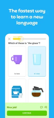 Duolingo Quick learning