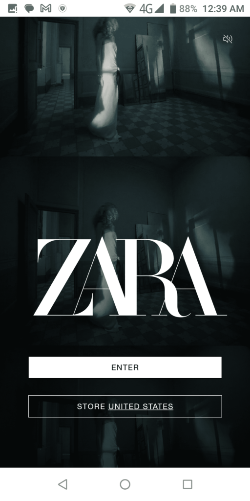 Zara Enter
